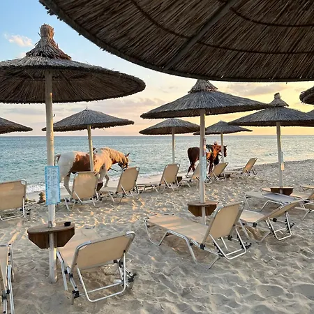 شقة Gorgona Di Thassos *