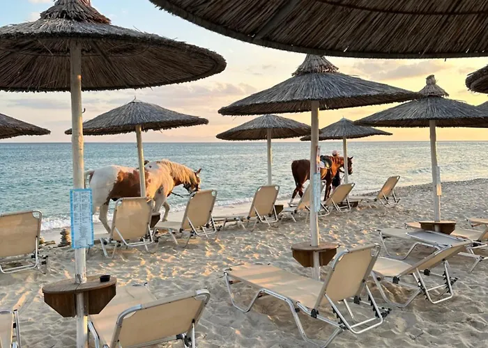 Apartamento Gorgona Di Thassos *